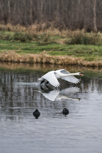 file_00000000ed3c71f4a6db5cee8ed8740b