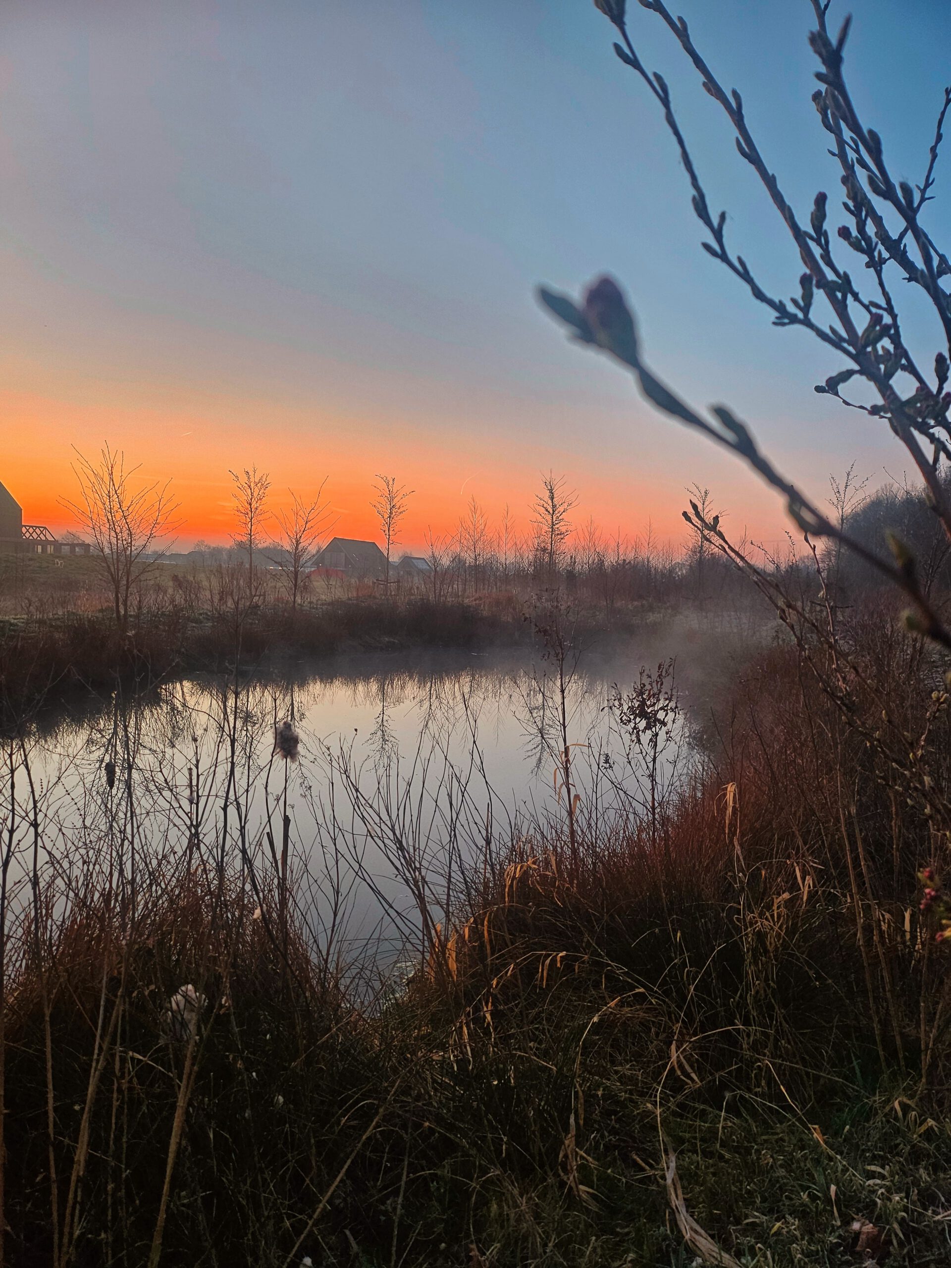Gerooid landschap bij zonsopkomst
